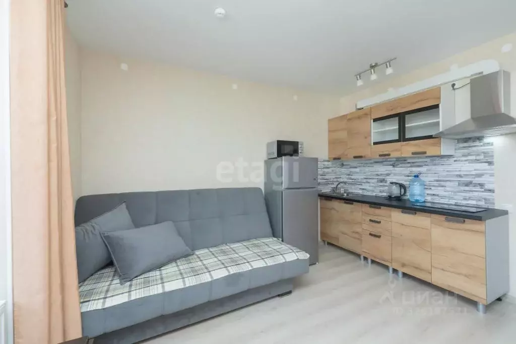 Студия Пермский край, Пермь ул. Емельяна Ярославского, 60 (21.0 м) - Фото 1