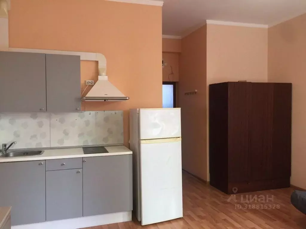 Студия Краснодарский край, Сочи ул. Голенева (28.0 м) - Фото 0