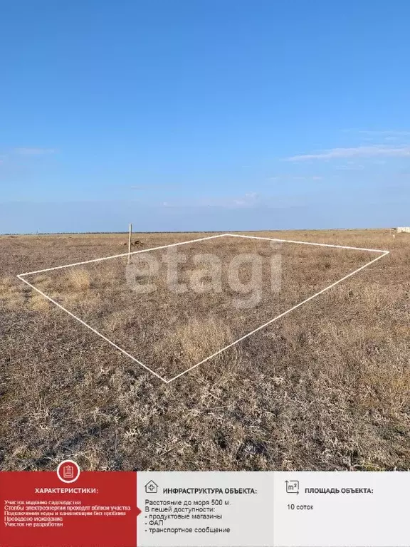 Участок в Крым, Раздольненский район, Славновское с/пос, Отдых СНТ  ... - Фото 1