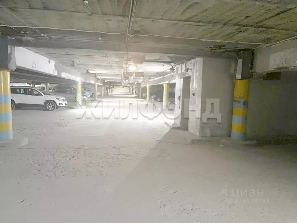 Гараж в Новосибирская область, Новосибирск Выборная ул., 125/3 (18 м) - Фото 2