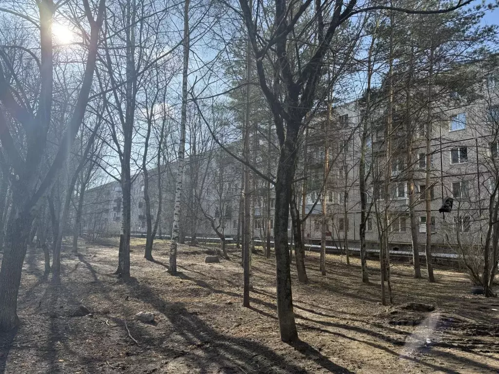 2-к кв. Ленинградская область, Гатчина ул. Чехова, 18 (46.9 м) - Фото 1