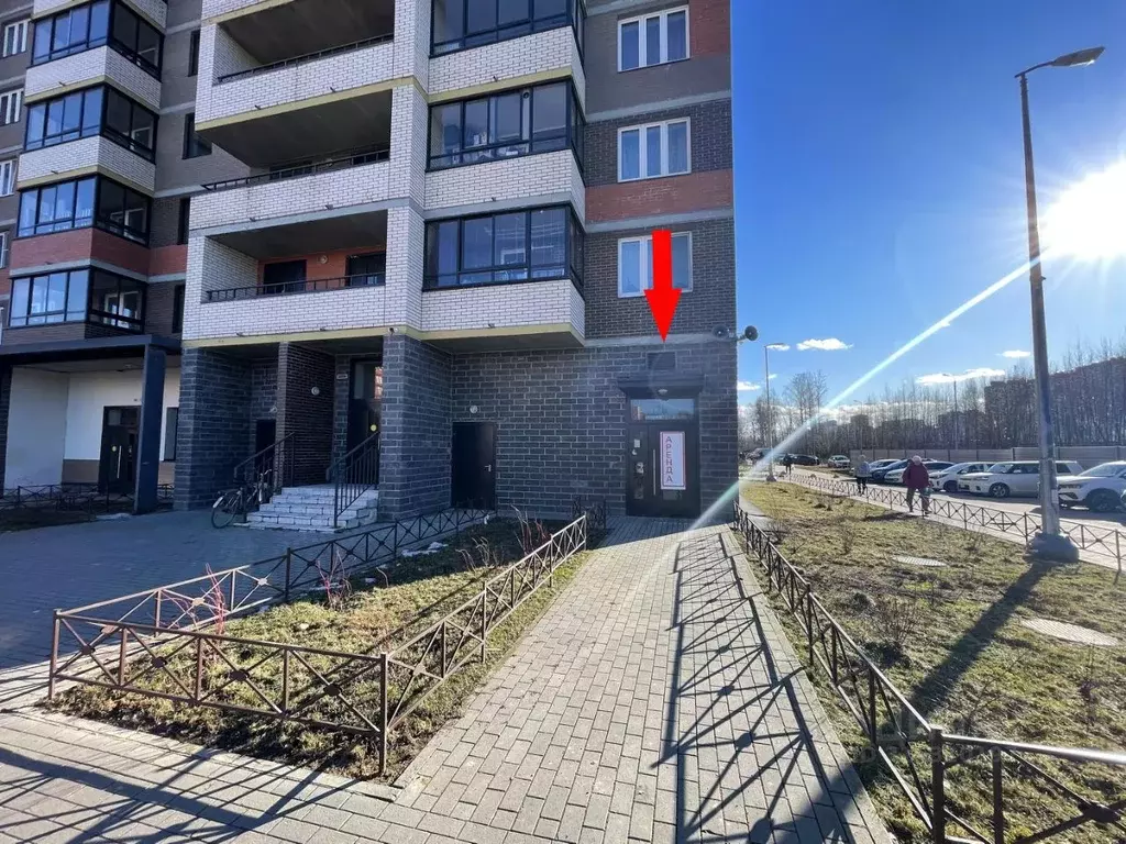 Помещение свободного назначения в Ленинградская область, Мурино ... - Фото 1