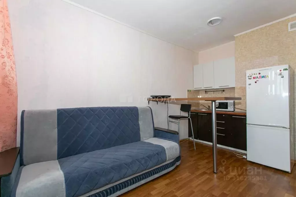 Студия Новосибирская область, Новосибирск ул. Виктора Уса, 7 (20.0 м) - Фото 0