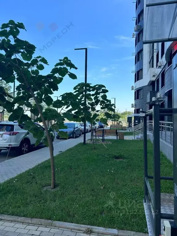 Помещение свободного назначения в Краснодарский край, Краснодар ул. ... - Фото 1