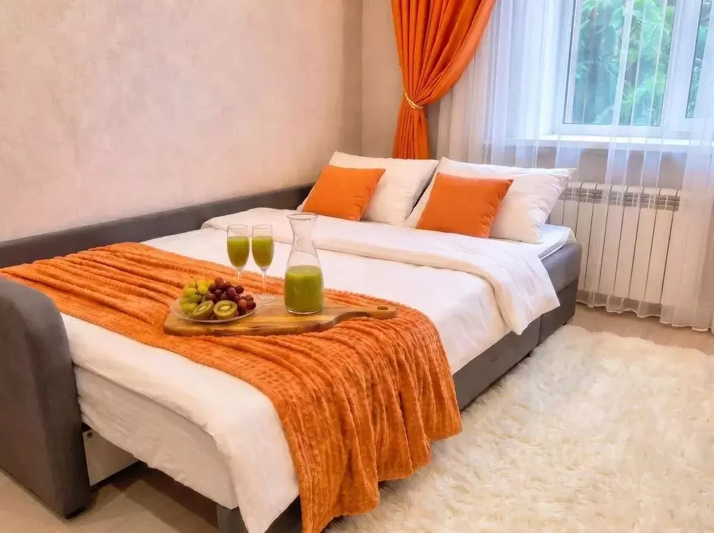 1-к кв. Москва Гостиничный проезд, 6К2 (23.0 м) - Фото 2