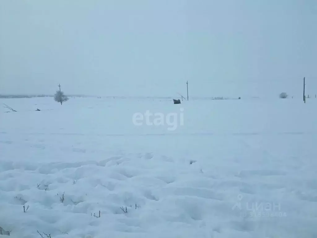 Участок в Бурятия, Иволгинский район, Гильбиринское муниципальное ... - Фото 0