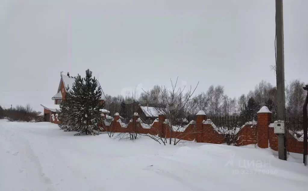 Участок в Алтайский край, Барнаул городской округ, пос. Бельмесево ул. ... - Фото 1