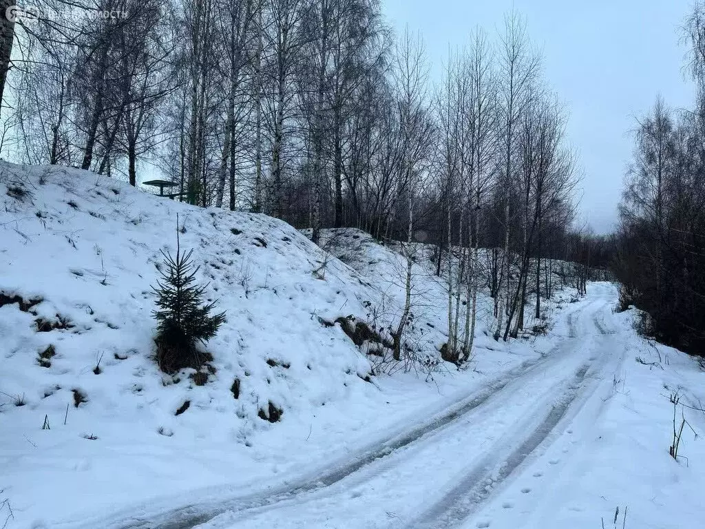 Участок в село Отрадное, Первомайская улица (45.47 м) - Фото 0