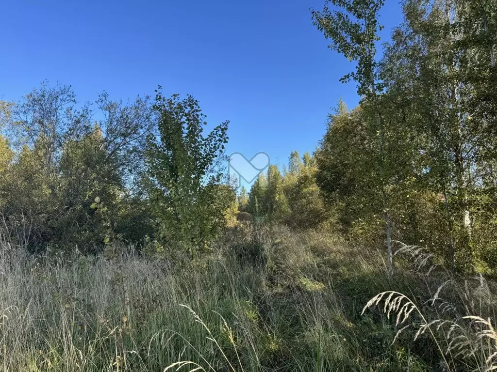 Участок в Ленинградская область, Приозерский район, Плодовское с/пос, ... - Фото 2