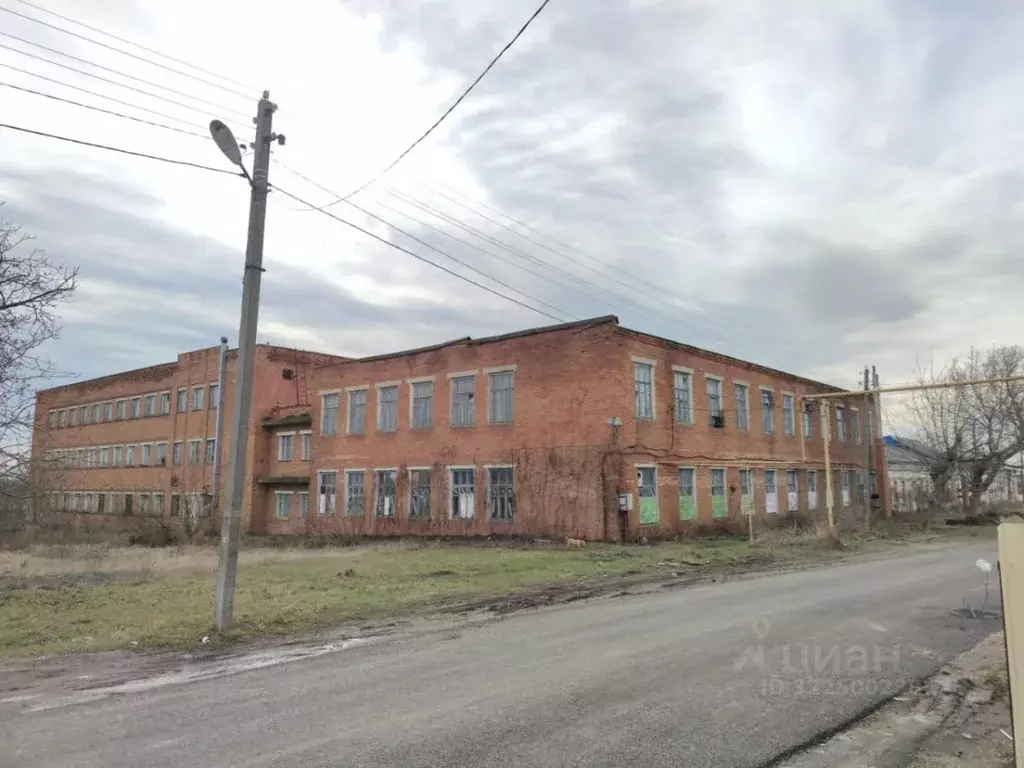 Помещение свободного назначения в Краснодарский край, Брюховецкий ... - Фото 0