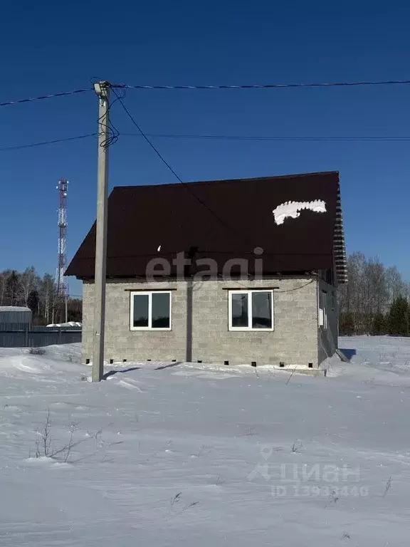 Дом в Тюменская область, с. Нижняя Тавда пер. Хвойный (63 м) - Фото 0