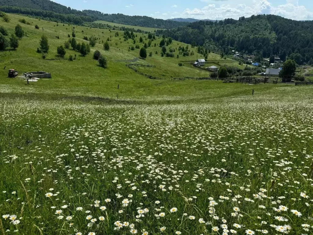 Участок в Алтай, Майминский район, с. Кызыл-Озек  (9.5 сот.) - Фото 1