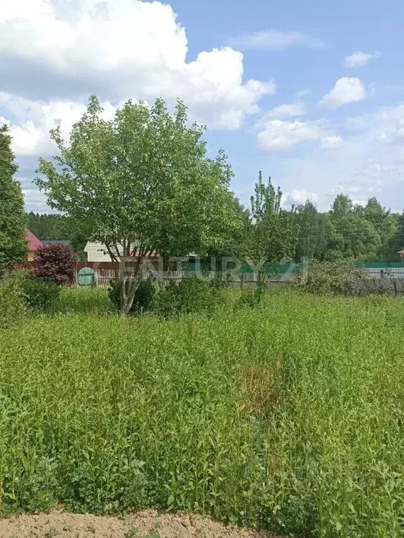 Участок в Калужская область, Совхоз Боровский с/пос, д. Тимашово  ... - Фото 0