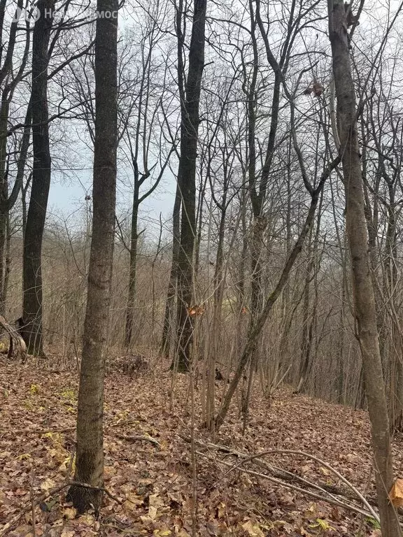 Участок в Московская область, муниципальный округ Истра, деревня ... - Фото 1