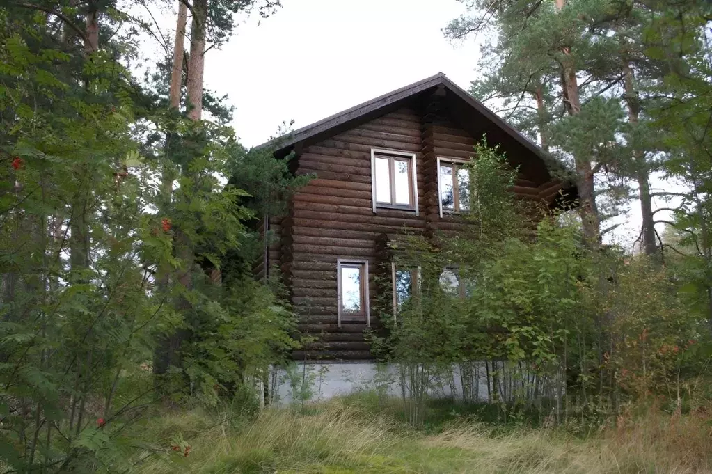 Дом в Карелия, Питкярантский муниципальный округ, пос. Импилахти ул. ... - Фото 2
