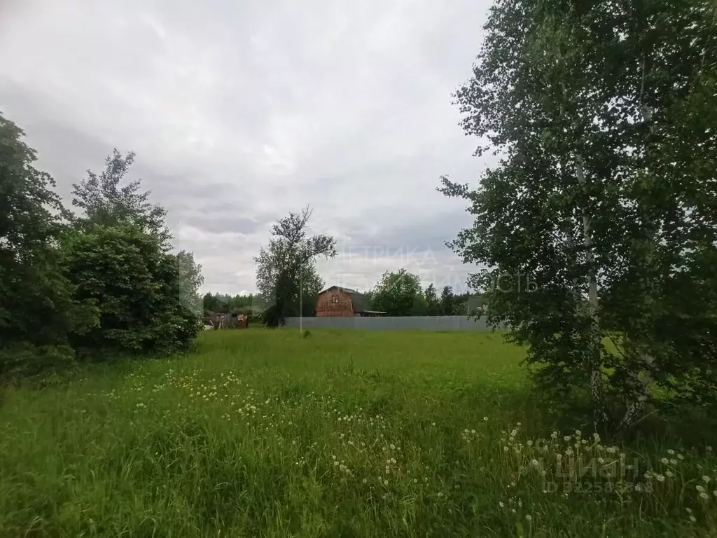 Участок в Тюменская область, Нижнетавдинский муниципальный округ, ... - Фото 1