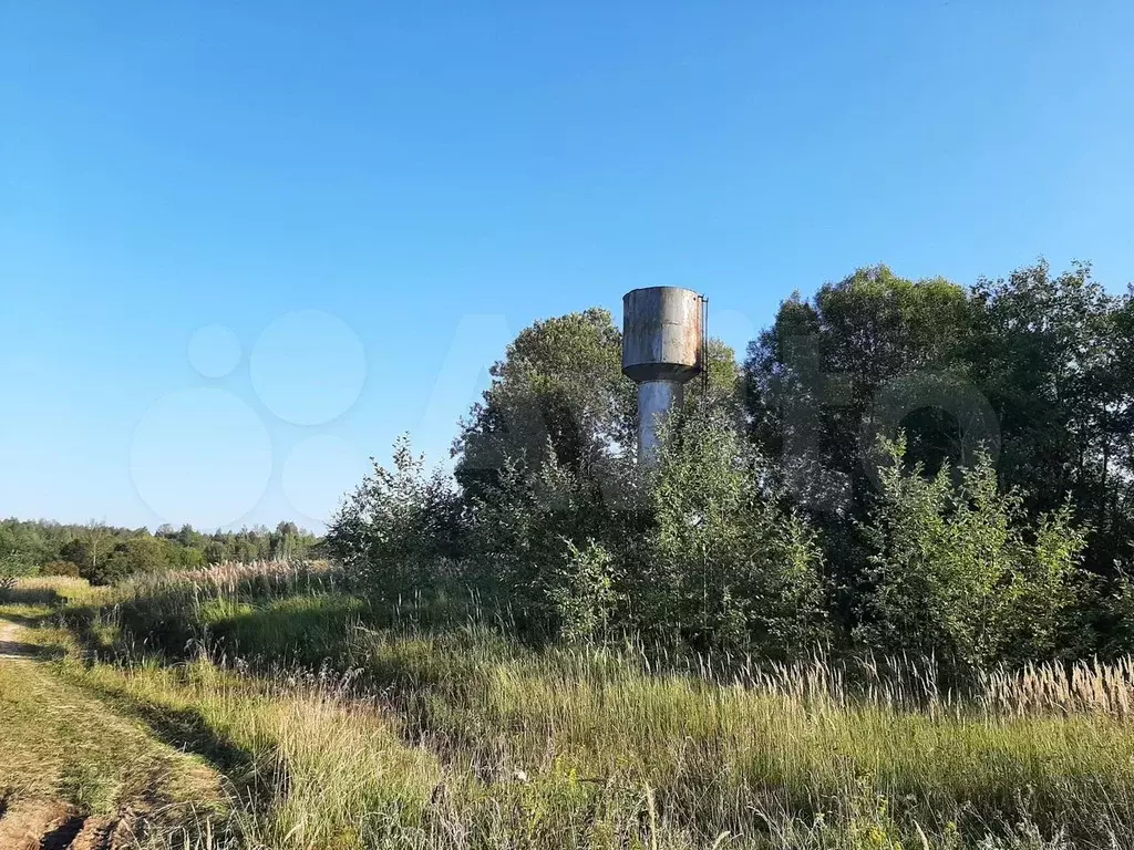 Участок 2 га (СНТ, ДНП) - Фото 1