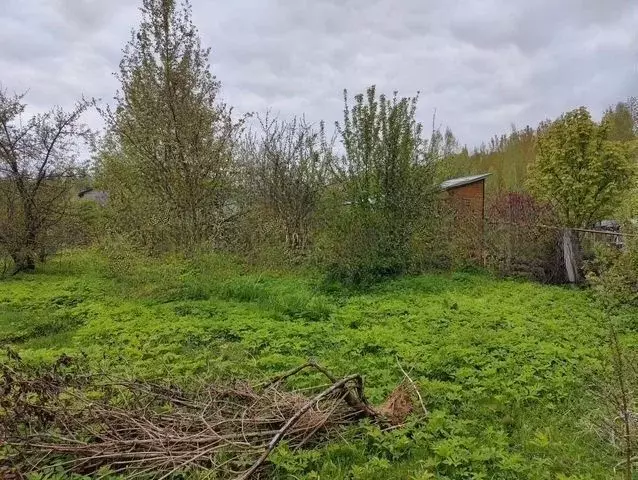 Участок в Москва Лесные Дали СНТ, 25 (6.0 сот.) - Фото 1