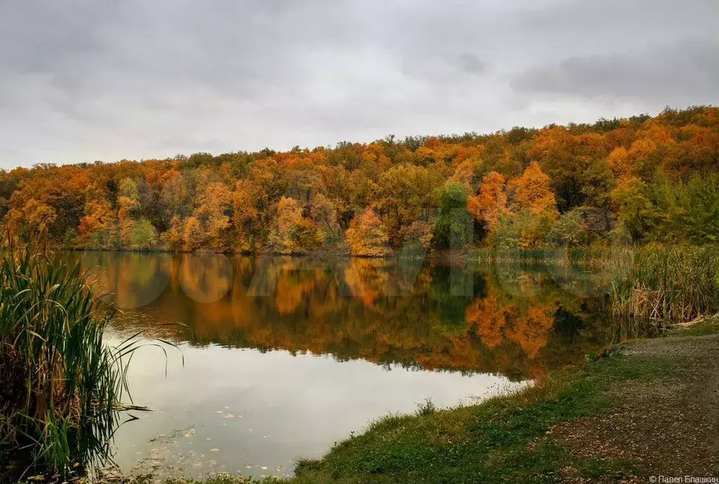 Участок 38,9га (СНТ, ДНП) - Фото 0