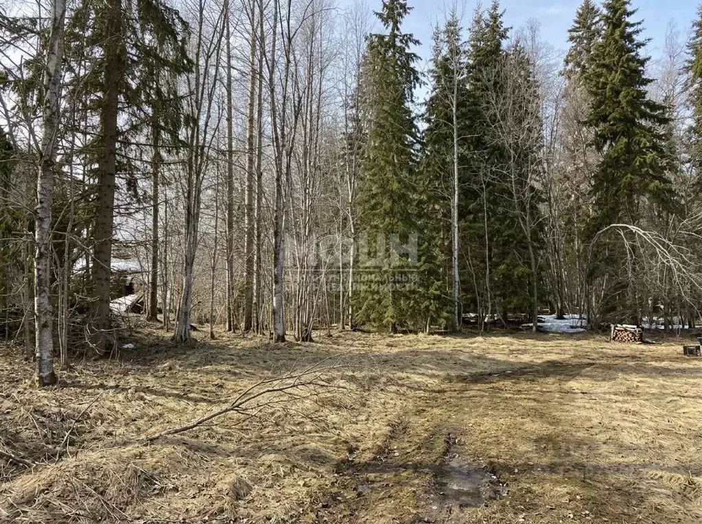 Участок в Карелия, Прионежский район, Нововилговское с/пос ул. ... - Фото 1