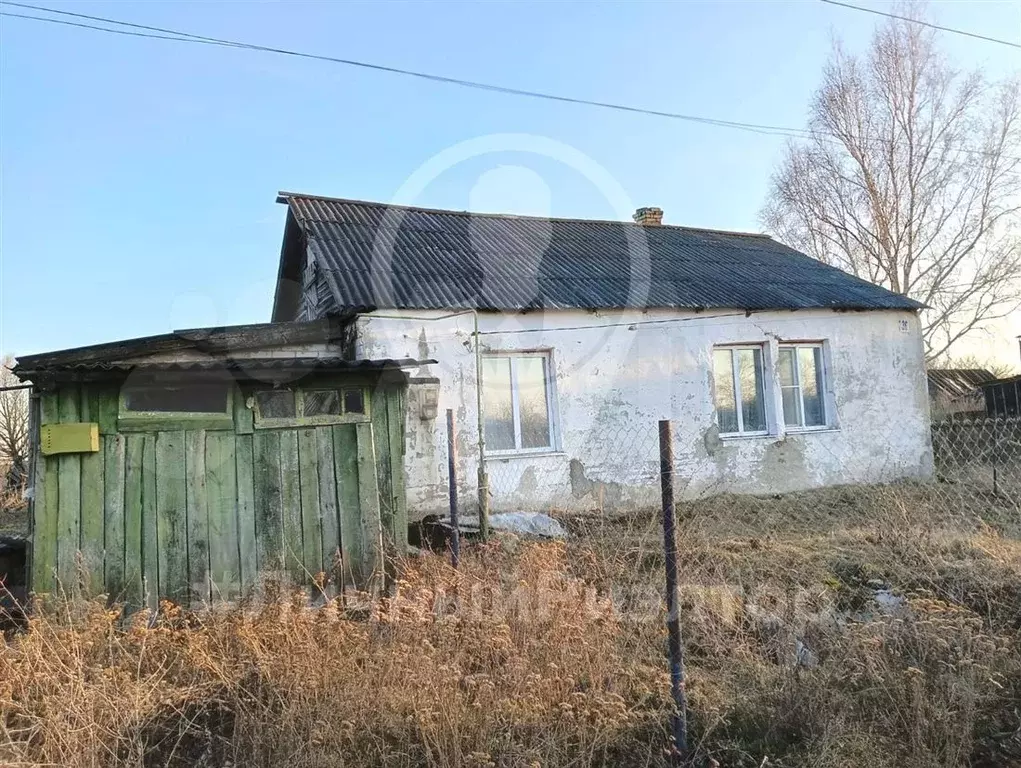 Дом 52,4 м на участке 50 сот. - Фото 1