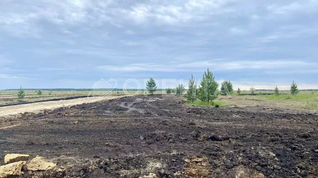 Участок в Тюменская область, Тюменский район, д. Елань 14 (9.0 сот.) - Фото 1