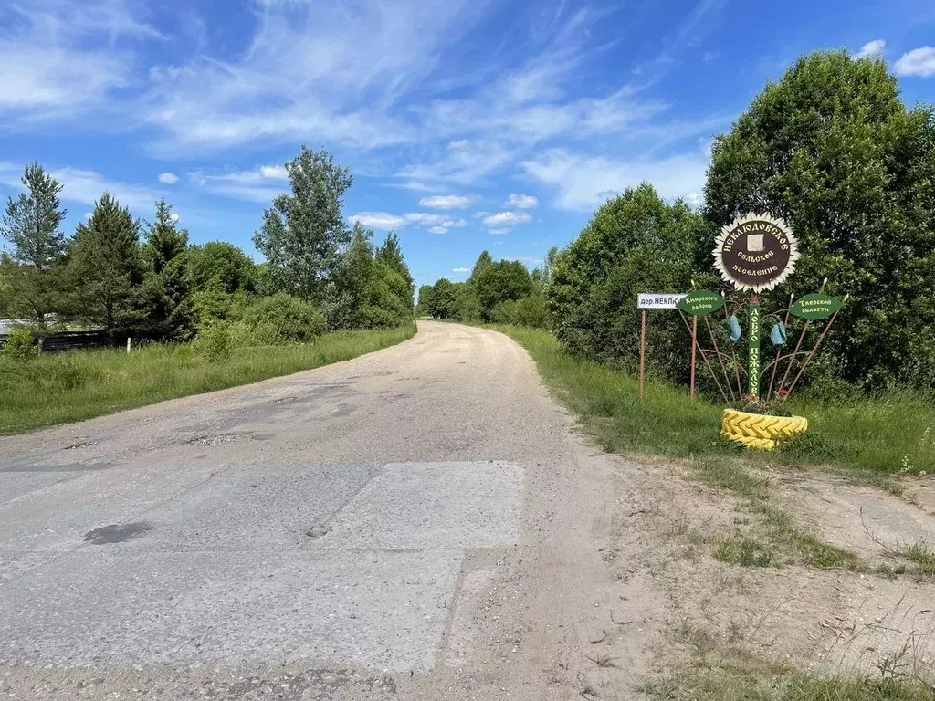 Участок в Тверская область, Кимрский муниципальный округ, д. Неклюдово ... - Фото 2