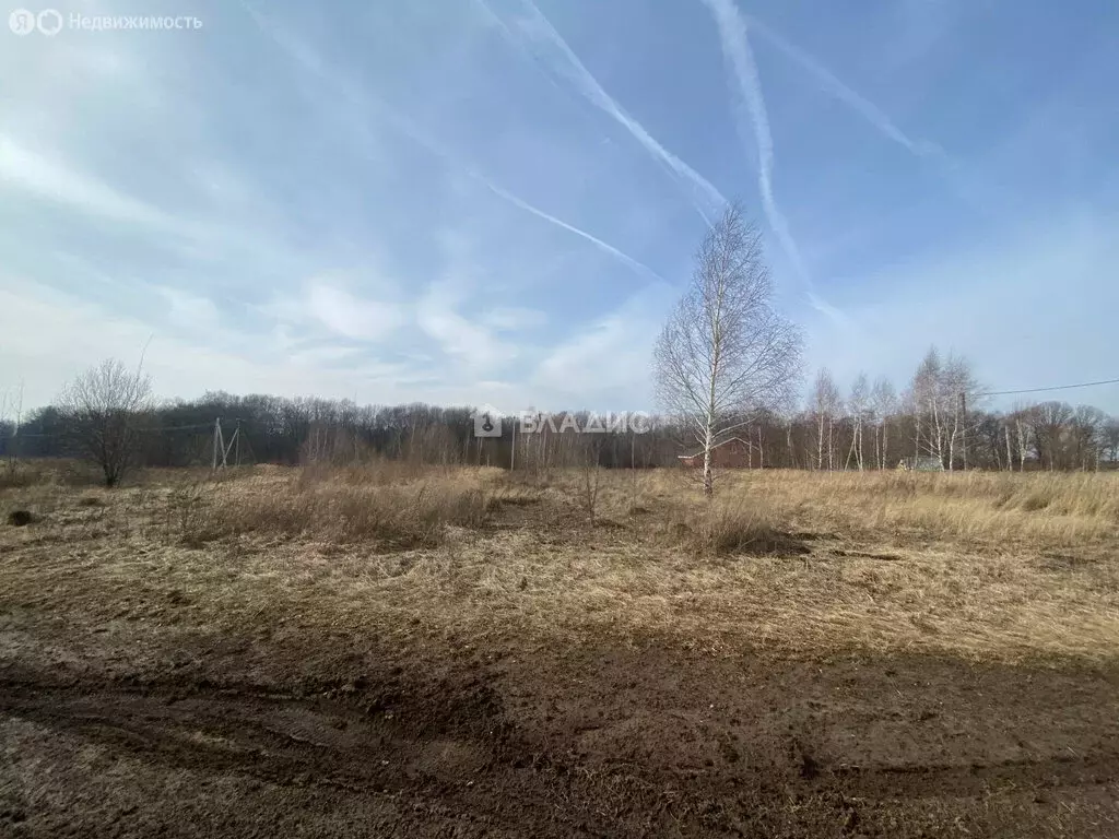 Участок в Московская область, муниципальный округ Зарайск, деревня ... - Фото 1