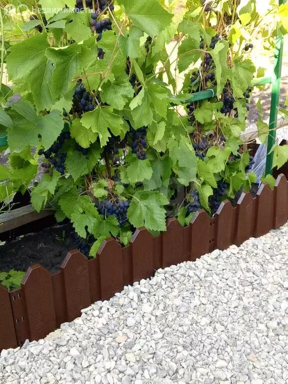 Дом в Ялуторовск, улица Ентальцева (24.1 м) - Фото 2