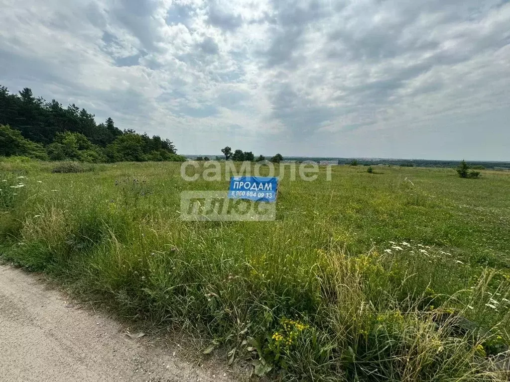 Участок в Курская область, Курский район, Моковский сельсовет, д. 2-я ... - Фото 0