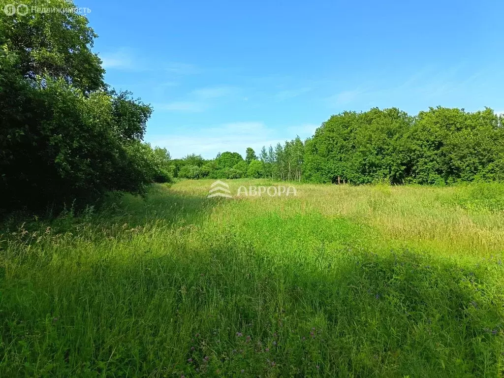 Участок в село Дмитриевка, Трудовая улица, 7 (63 м) - Фото 1