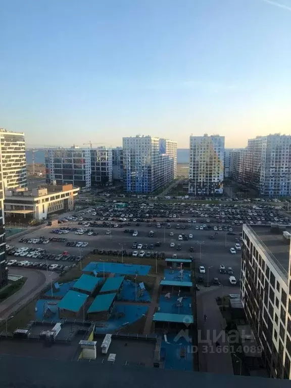 Студия Санкт-Петербург ул. Вадима Шефнера, 12к1 (23.5 м) - Фото 1