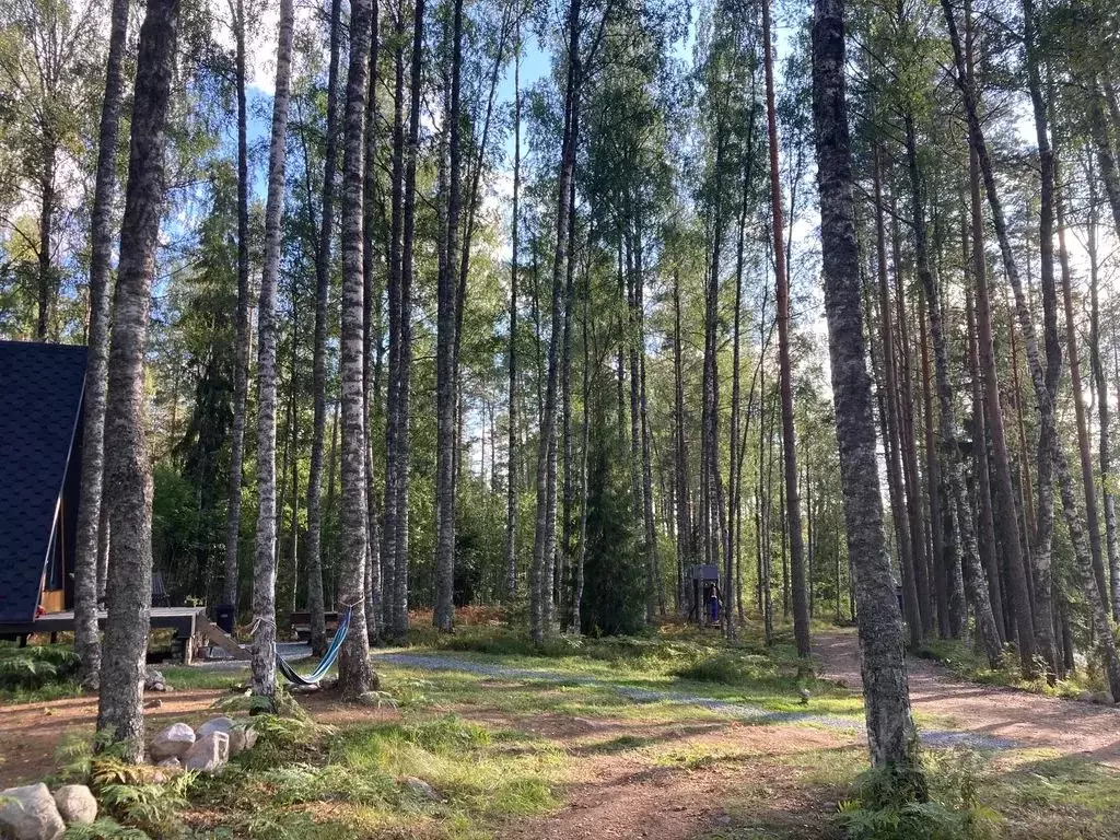 Дом в Карелия, Лахденпохский муниципальный округ  (42 м) - Фото 1