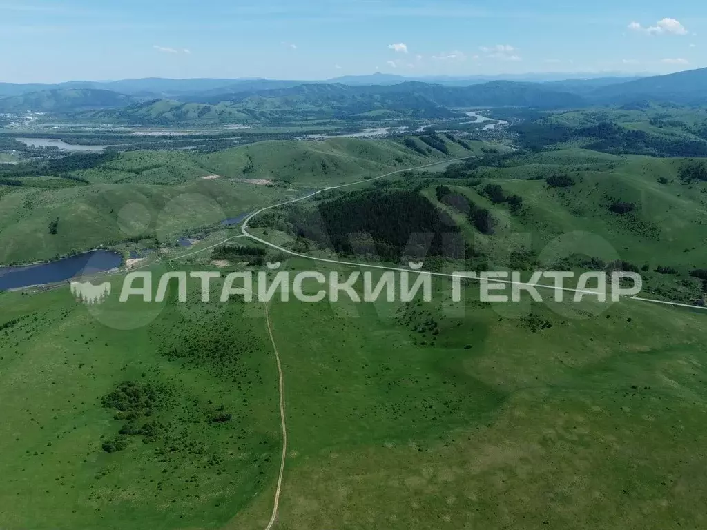 Участок 39,2 га (СНТ, ДНП) - Фото 1