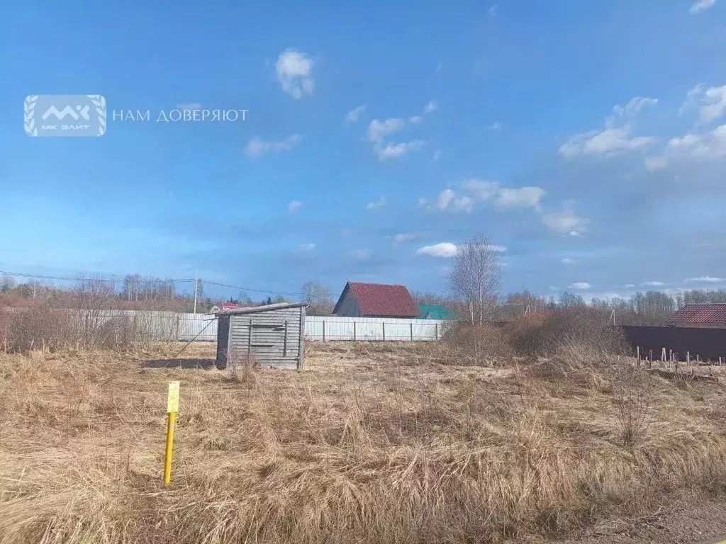 Участок в Ленинградская область, Приозерский район, Красноозерное ... - Фото 2