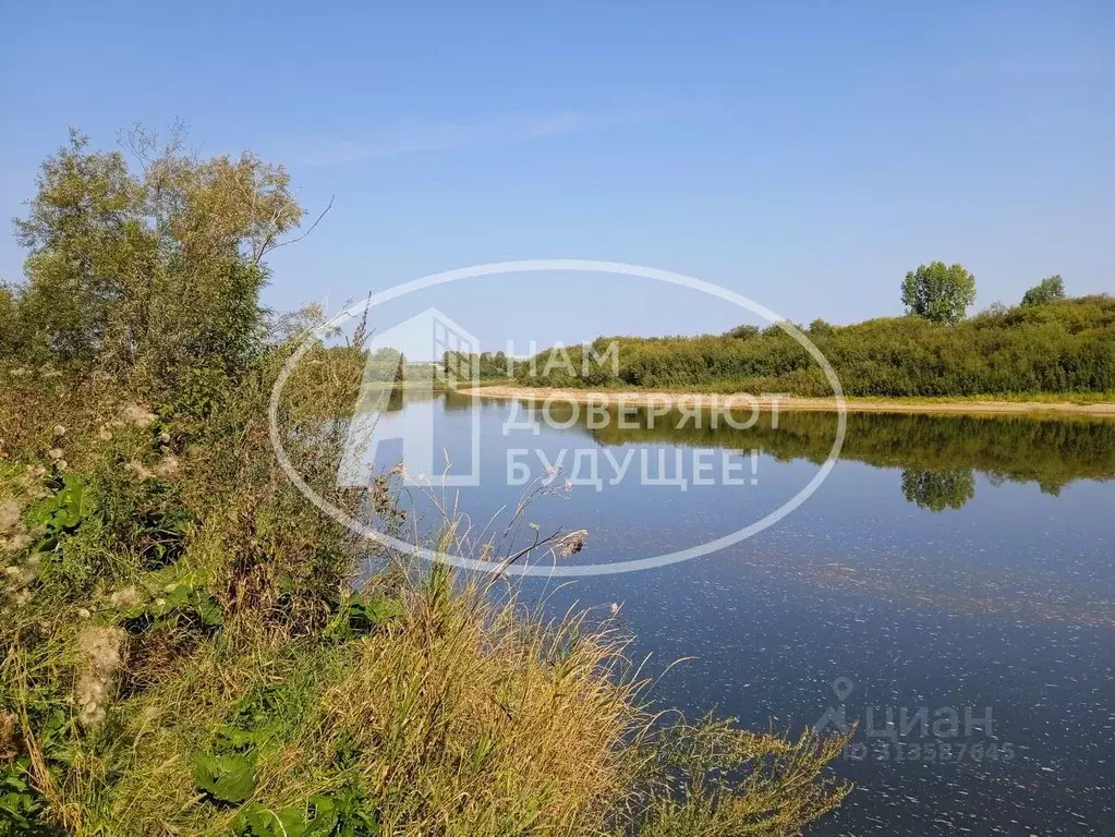 Участок в Пермский край, Чусовской городской округ, д. Кучино ул. ... - Фото 1