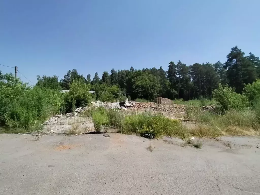 Участок в Алтайский край, Бийск  (38.5 сот.) - Фото 1