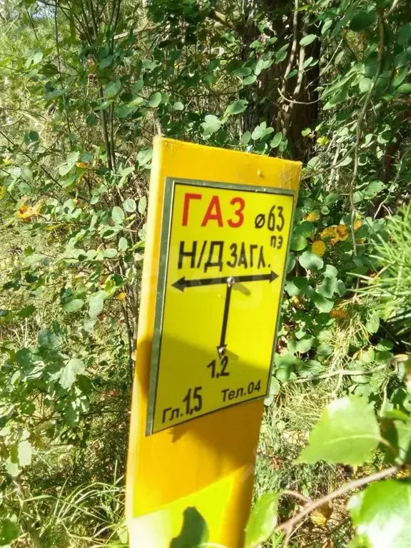 Участок в Калужская область, Дзержинский район, Никольское с/пос, д. ... - Фото 1