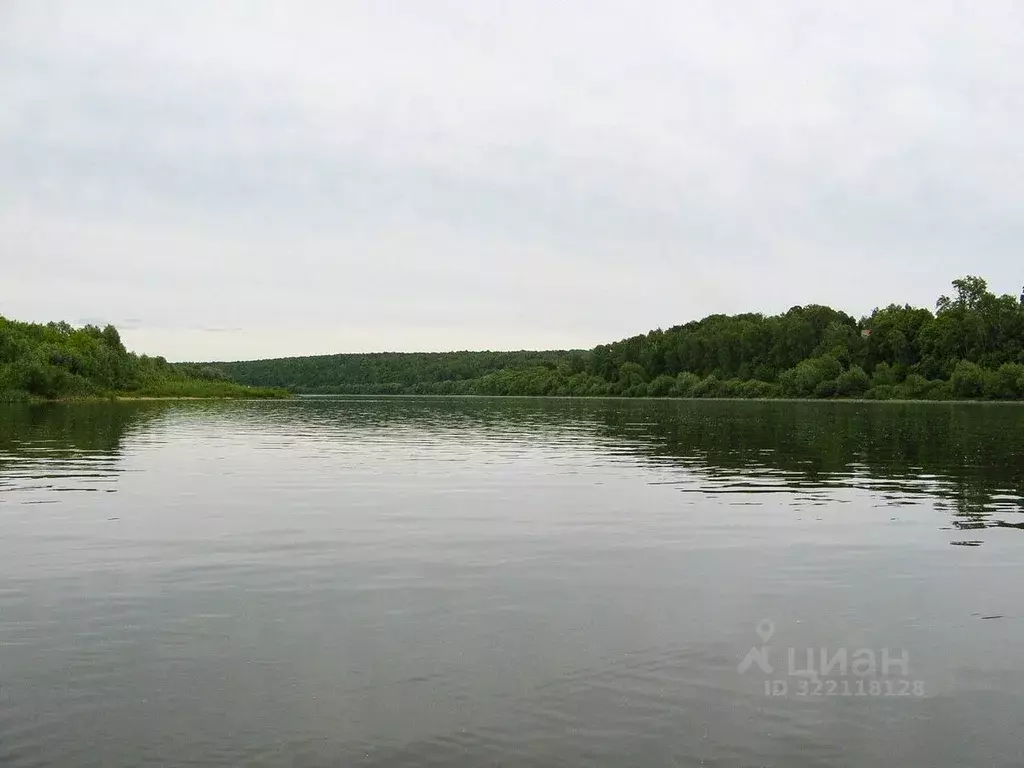 Участок в Тульская область, Ясногорский район, Иваньковское с/пос, д. ... - Фото 1