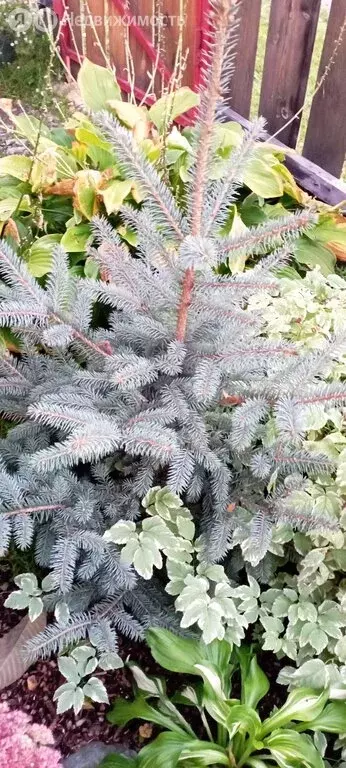 Дом в Чемал, Восточная улица, 44 (110 м) - Фото 1