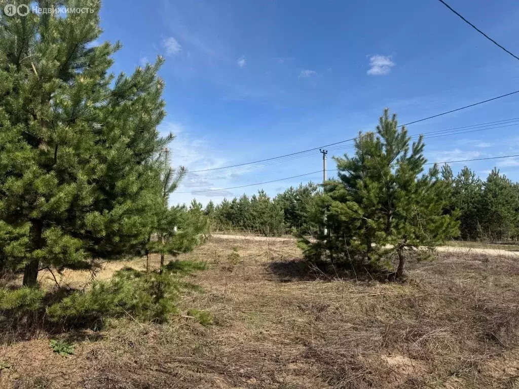 Участок в деревня Дмитриевка, коттеджный посёлок Сапсан, Успешная ... - Фото 1