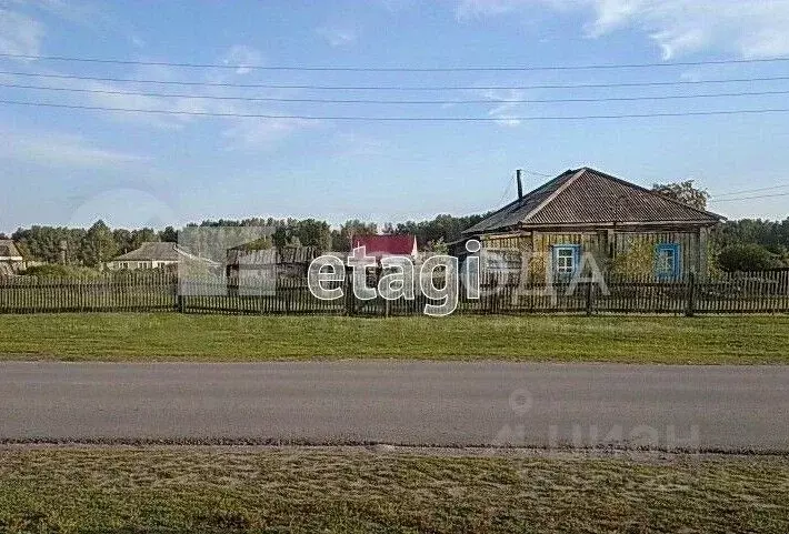 Участок в Алтайский край, Панкрушихинский район, пос. Первомайский ... - Фото 1
