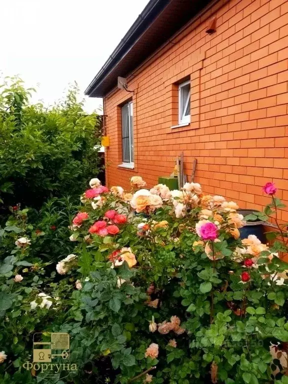 Дом в Краснодарский край, Белореченск Станичная ул., 89А (104 м) - Фото 2