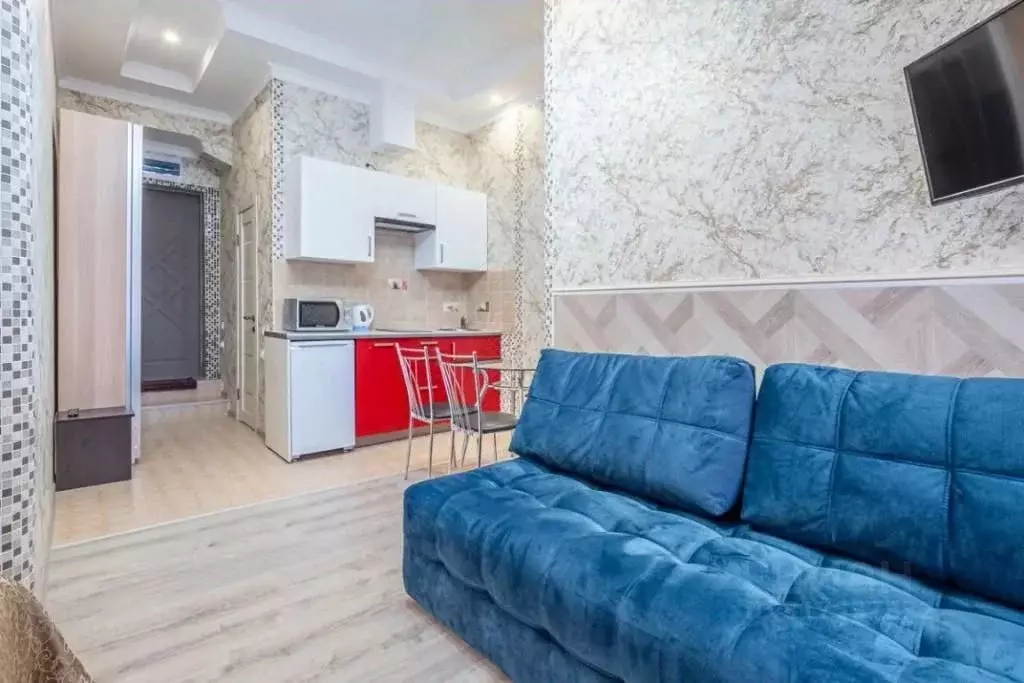 1-к кв. Санкт-Петербург Большая Морская ул., 36 (25.0 м) - Фото 0