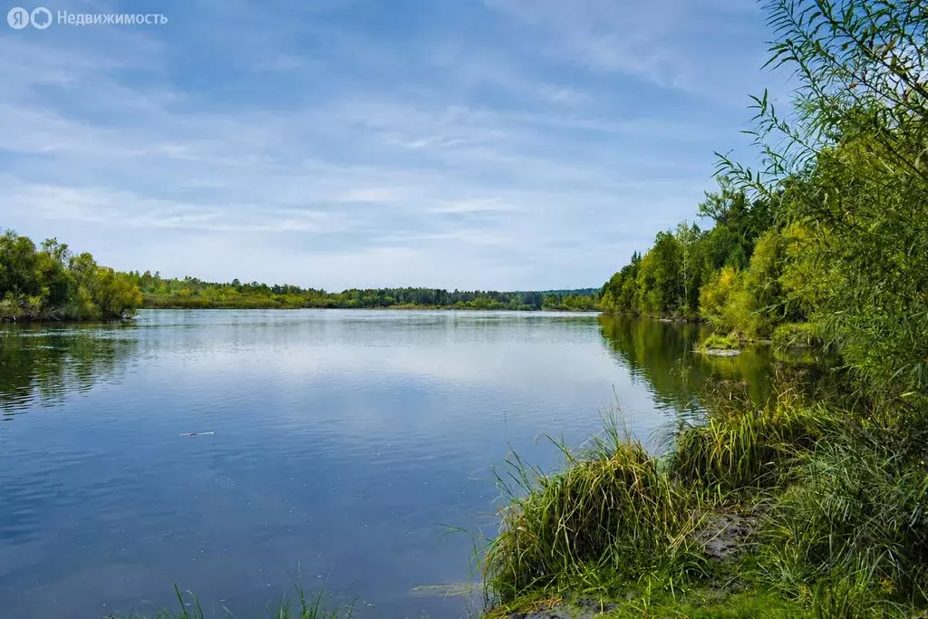 Участок в Баклашинское муниципальное образование, село Введенщина, ... - Фото 1