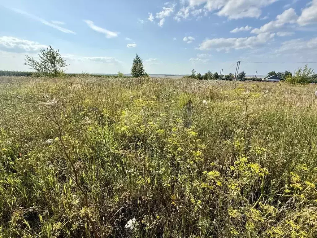 Участок в Мордовия, Лямбирский район, Саловское с/пос, с. Саловка ул. ... - Фото 2