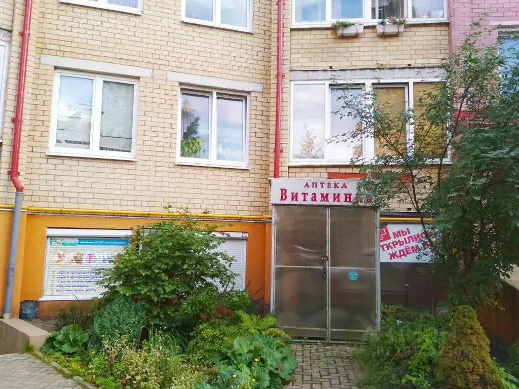 Офис в Калининградская область, Калининград ул. Аксакова, 102Б (49 м) - Фото 1