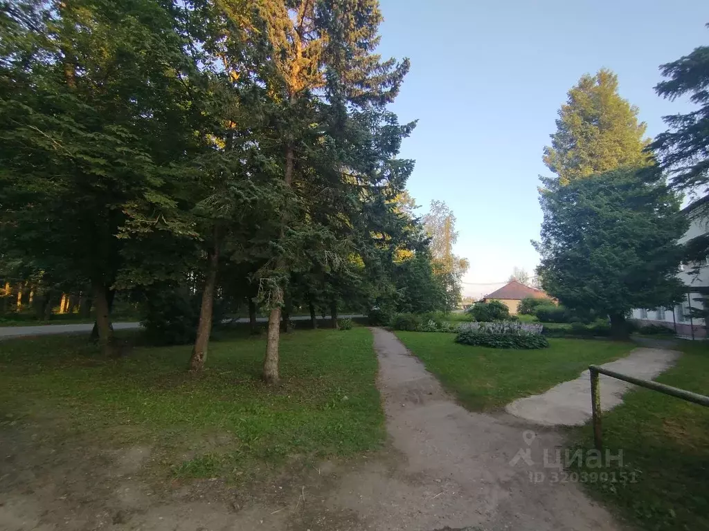 2-к кв. Новгородская область, Новгородский район, Борковское с/пос, д. ... - Фото 1