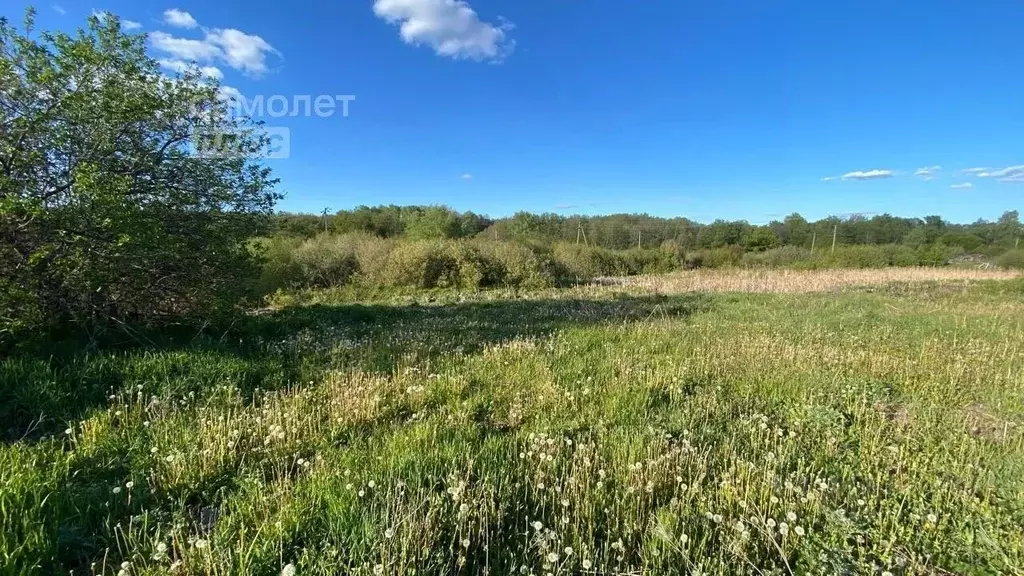 Участок в Башкортостан, Уфимский район, с. Дмитриевка Трактовая ул., 2 ... - Фото 0