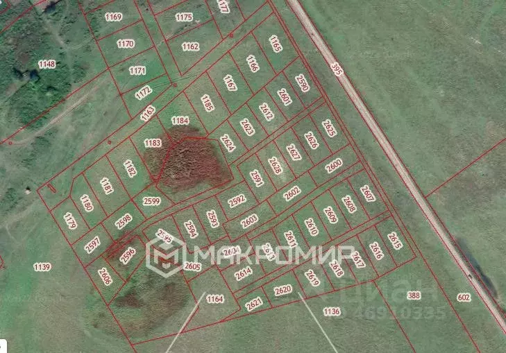 Участок в Новосибирская область, Ордынский район, с. Новопичугово ул. ... - Фото 2